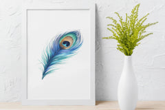 Vibrant Peacock Feathers Clipart Bundle - CraftNest - Digital Crafting and Art