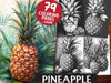 Pineapple Coloring Books