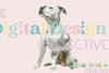Unique Pitbull T-Shirt Design Bundle