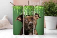Pitbull St. Patrick's Day Tumbler Bundle - CraftNest - Digital Crafting and Art