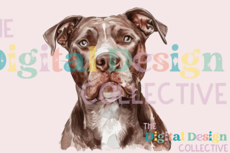 Unique Pitbull T-Shirt Design Bundle - CraftNest - Digital Crafting and Art