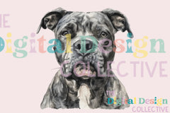 Unique Pitbull T-Shirt Design Bundle - CraftNest - Digital Crafting and Art