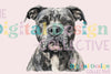 Unique Pitbull T-Shirt Design Bundle