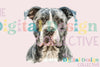 Unique Pitbull T-shirt Design Bundle