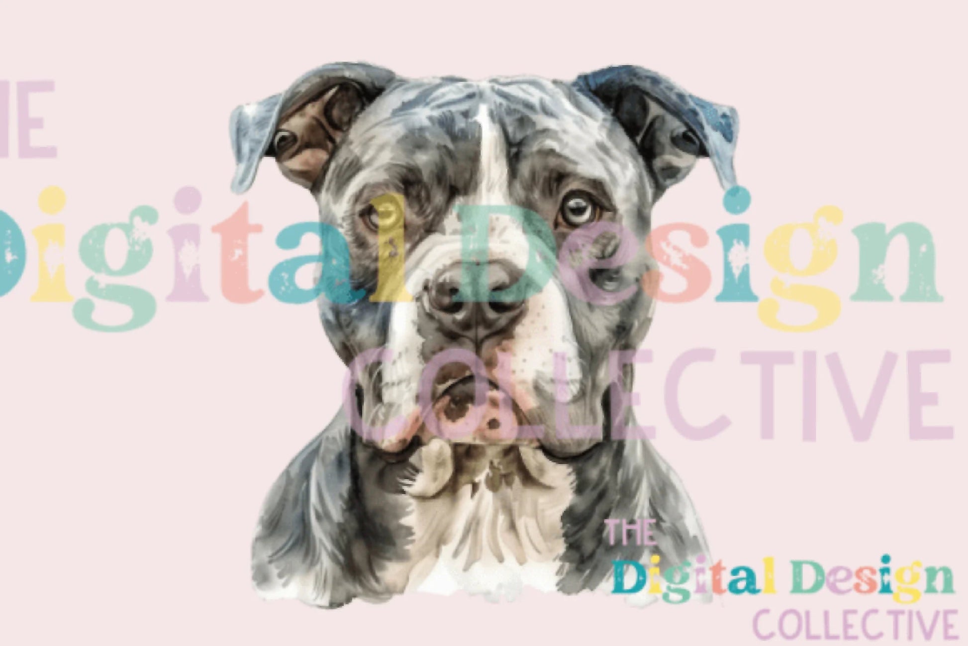 Unique & Stylish Pitbull T-Shirt Design Clipart Bundle - CraftNest - Digital Crafting and Art