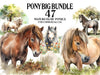 Pony