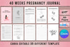 Understanding 11 Weeks Pregnancy: Key Developments