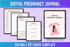 Essential Guide to Pregnancy