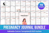 My Pregnancy Journey