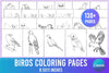 Birds Coloring Page