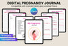 Pregnancy Guide: Essential Tips for Expecting Mothers
