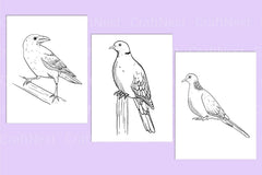 Birds Coloring Page - CraftNest - Digital Crafting and Art