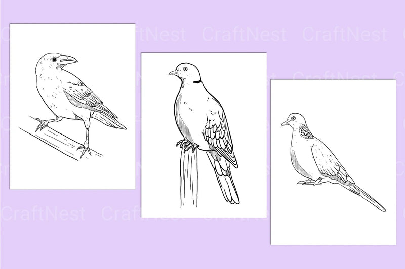 Birds Coloring Page - CraftNest - Digital Crafting and Art