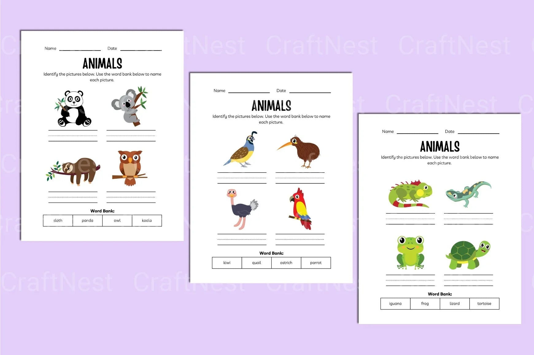 Animals Activity Workbook - CraftNest - Digital Crafting and Art