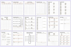 Mega Budget Sheets for Effective Financial Planning - CraftNest - Digital Crafting and Art