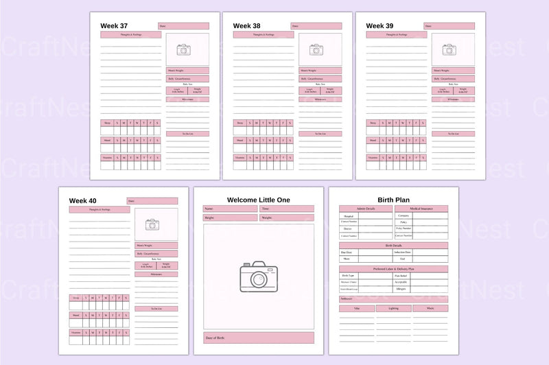 Comprehensive Guide to Pregnancy: Essential Tips and Advice - CraftNest - Digital Crafting and Art