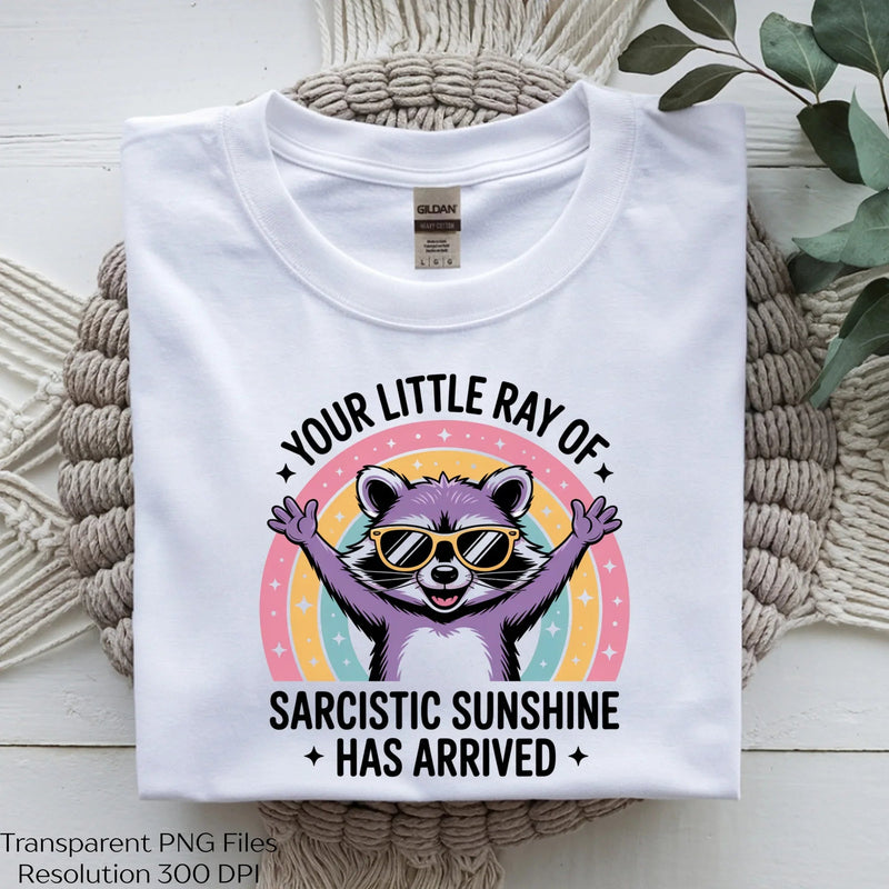 Funny Sarcastic Raccoon Quote Clipart Bundle - CraftNest - Digital Crafting and Art