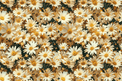 Seamless 3D Daisy Flower Meadow Digital Paper - CraftNest - Digital Crafting and Art