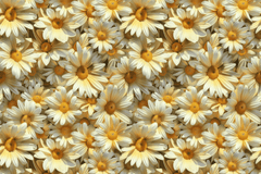 Seamless 3D Daisy Flower Meadow Digital Paper - CraftNest - Digital Crafting and Art