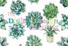 Seamless Succulent Digital Paper