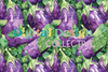 Seamless Garden Vegetable Digital Paper