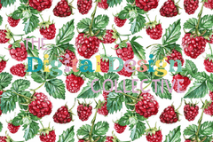 Seamless Garden Floral Design Digital Paper - CraftNest - Digital Crafting and Art