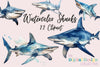 Shark Clipart Bundle