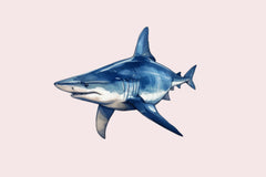 Shark Clipart Bundle - CraftNest - Digital Crafting and Art