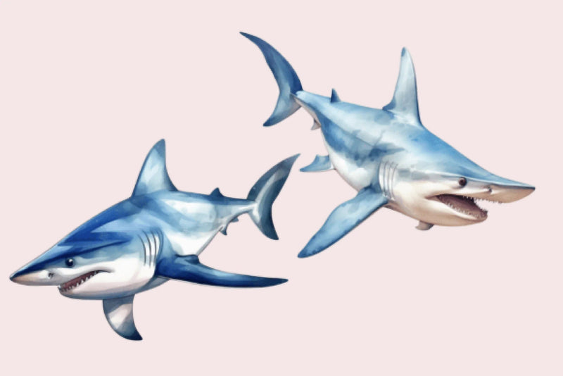 Shark Clipart Bundle - CraftNest - Digital Crafting and Art