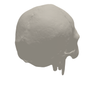 Skull 3D Print STL File