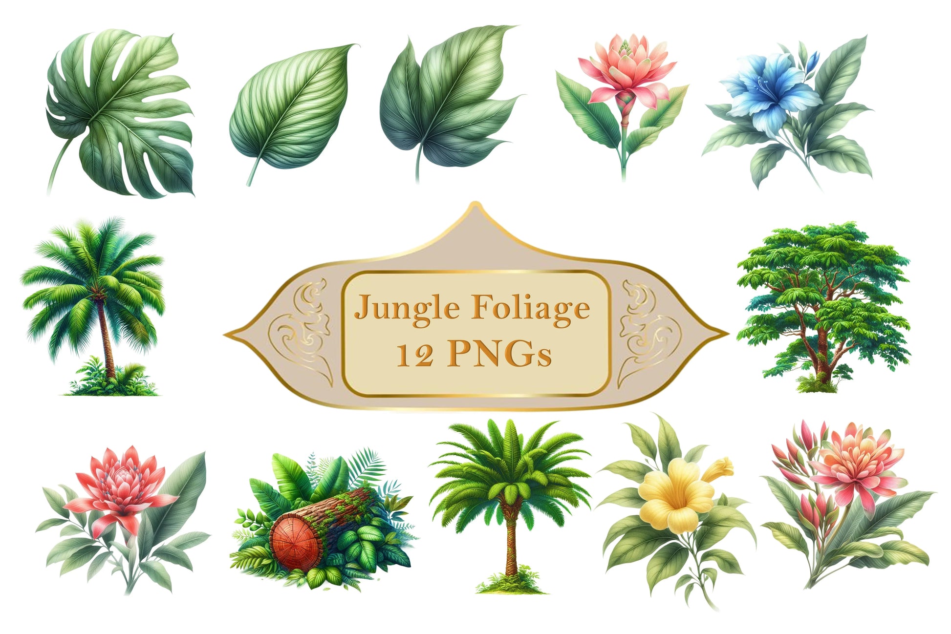 In The Jungle Clipart Bundle - CraftNest - Digital Crafting and Art