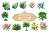 In The Jungle Clipart Bundle