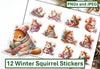 Winter Squirrel Stickers Clipart Bundle