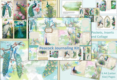 Peacock Backgrounds and Clipart Bundle - CraftNest - Digital Crafting and Art