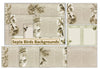 Vintage Sepia Birds Backgrounds Junk Journal Bundle