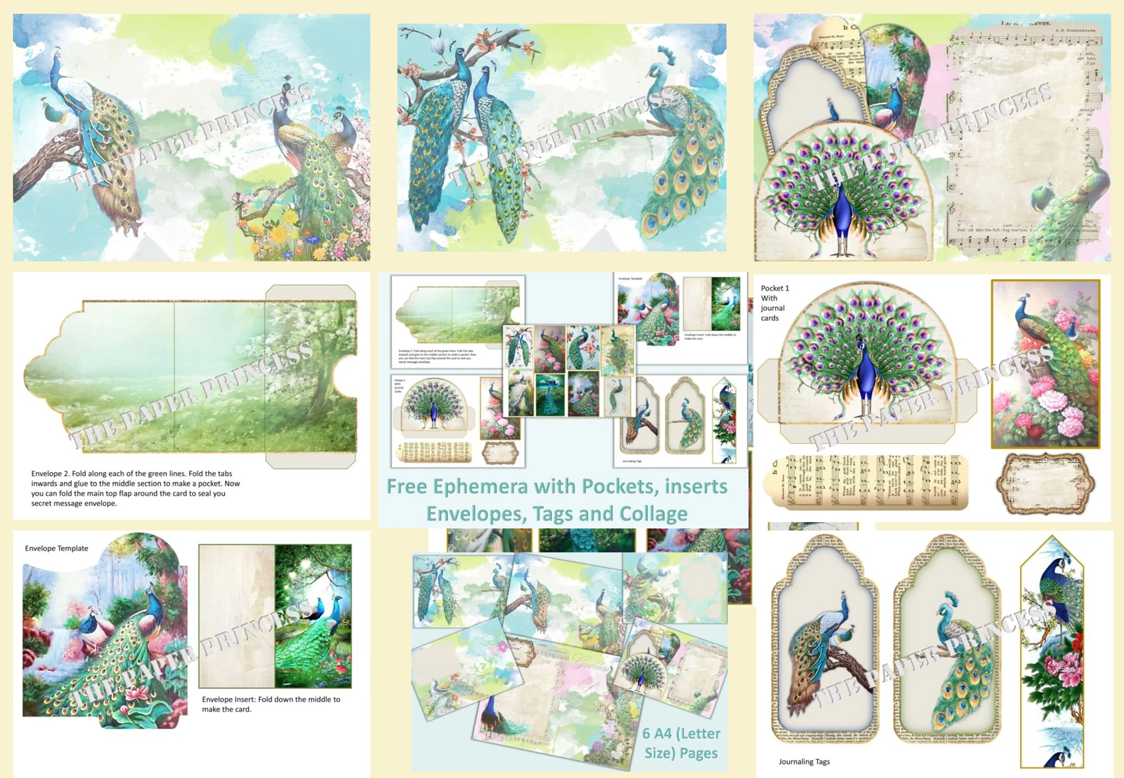 Peacock Backgrounds and Clipart Bundle - CraftNest - Digital Crafting and Art