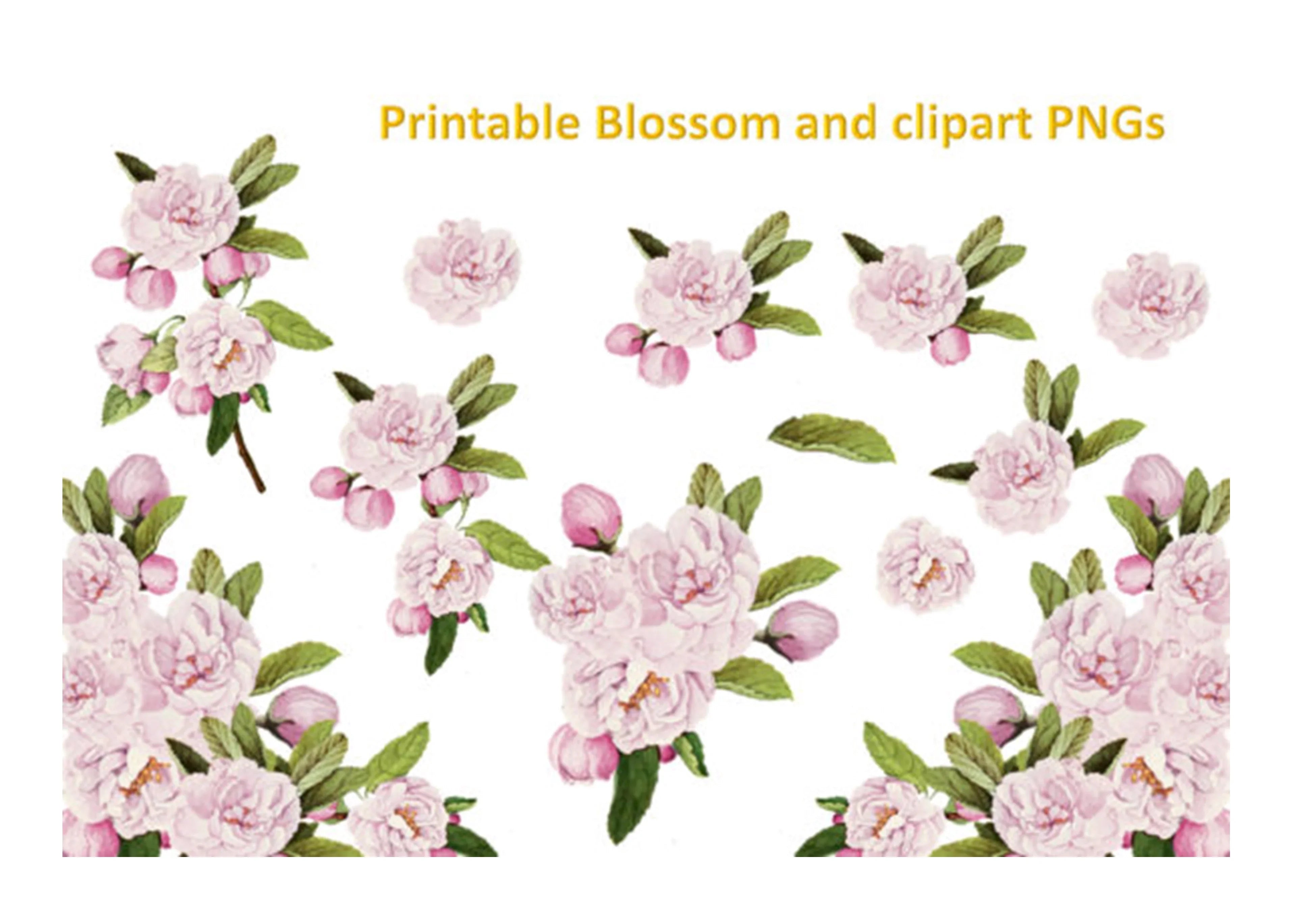 Blossoms and Butterflies Clipart Bundle - CraftNest - Digital Crafting and Art