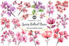 Spring Redbud Flower Clipart Bundle