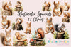 Squirrel Clipart Bundle