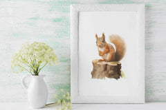 Squirrel Clipart Bundle - CraftNest - Digital Crafting and Art