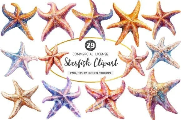 Starfish Clipart Bundle 1 - CraftNest - Digital Crafting and Art