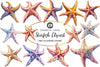 Starfish Clipart Bundle