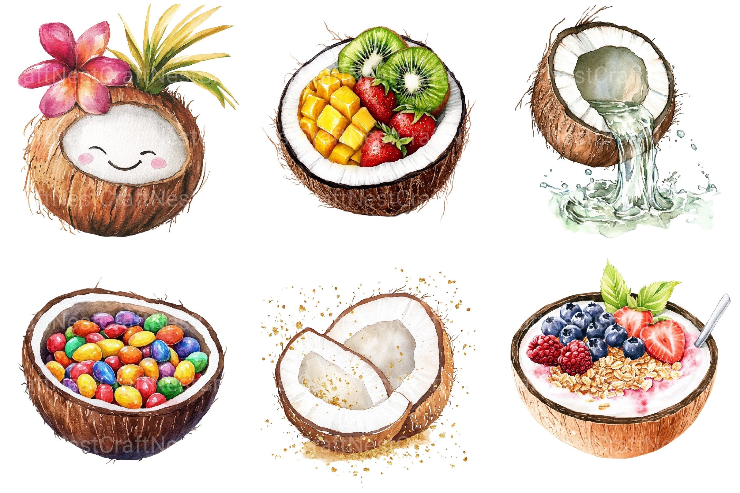 Summer Coconut Clipart Bundle 2