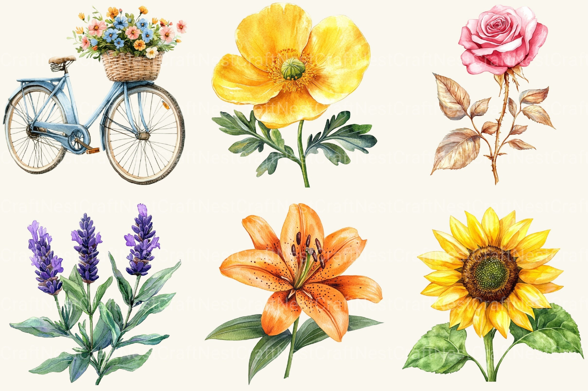 Summer Flower Clipart Bundle 3