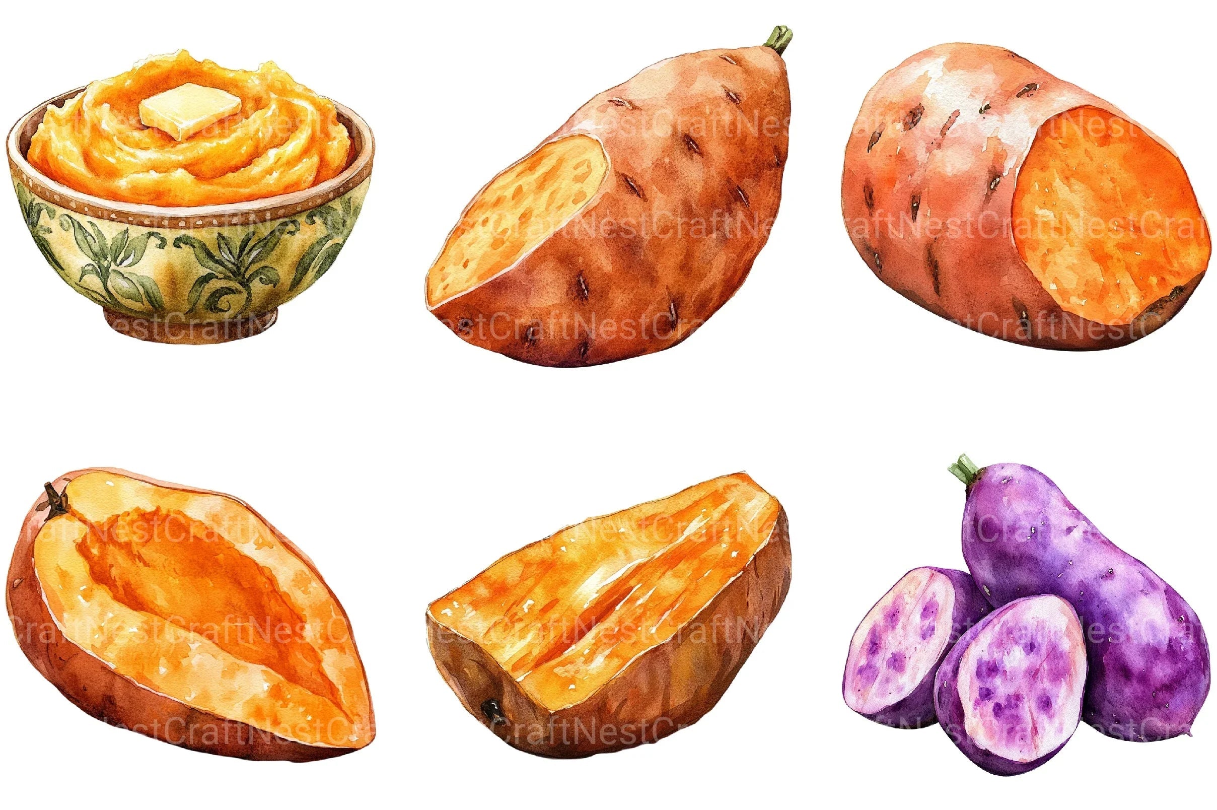 Sweet Potato Clipart Bundle - CraftNest - Digital Crafting and Art
