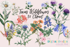 Texas Native Wildflowers Clipart Bundle