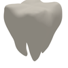 Tooth 3D Print STL File
