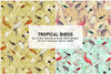 Tropical Birds