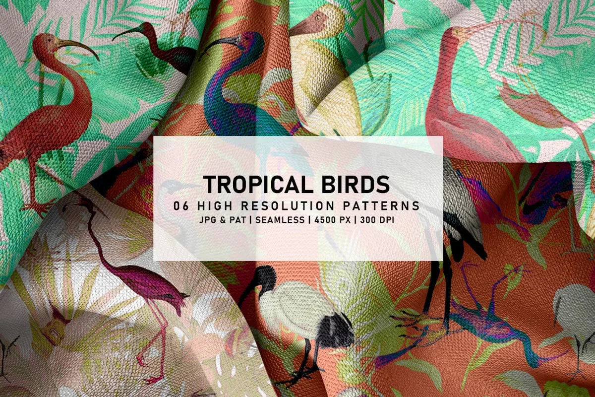 Tropical Birds