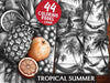 Tropical Summer Coloring Books
